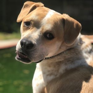 Meet your Posher, Evelyn